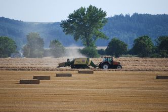 Prezydent podpisał nowelę zakładającą 1,23 mld zł wsparcia dla produc. rolnych