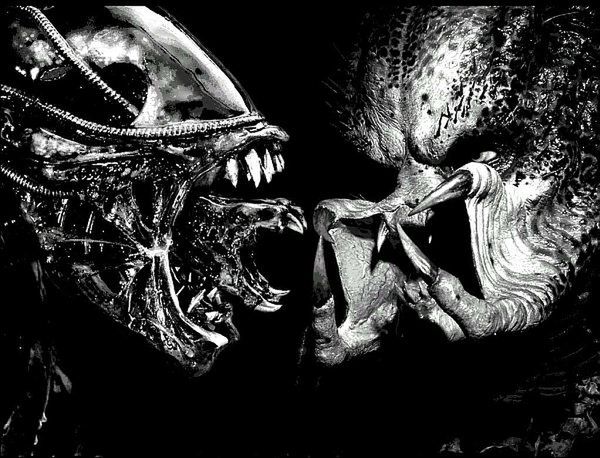 Kolejna dawka informacji o Aliens vs Predator