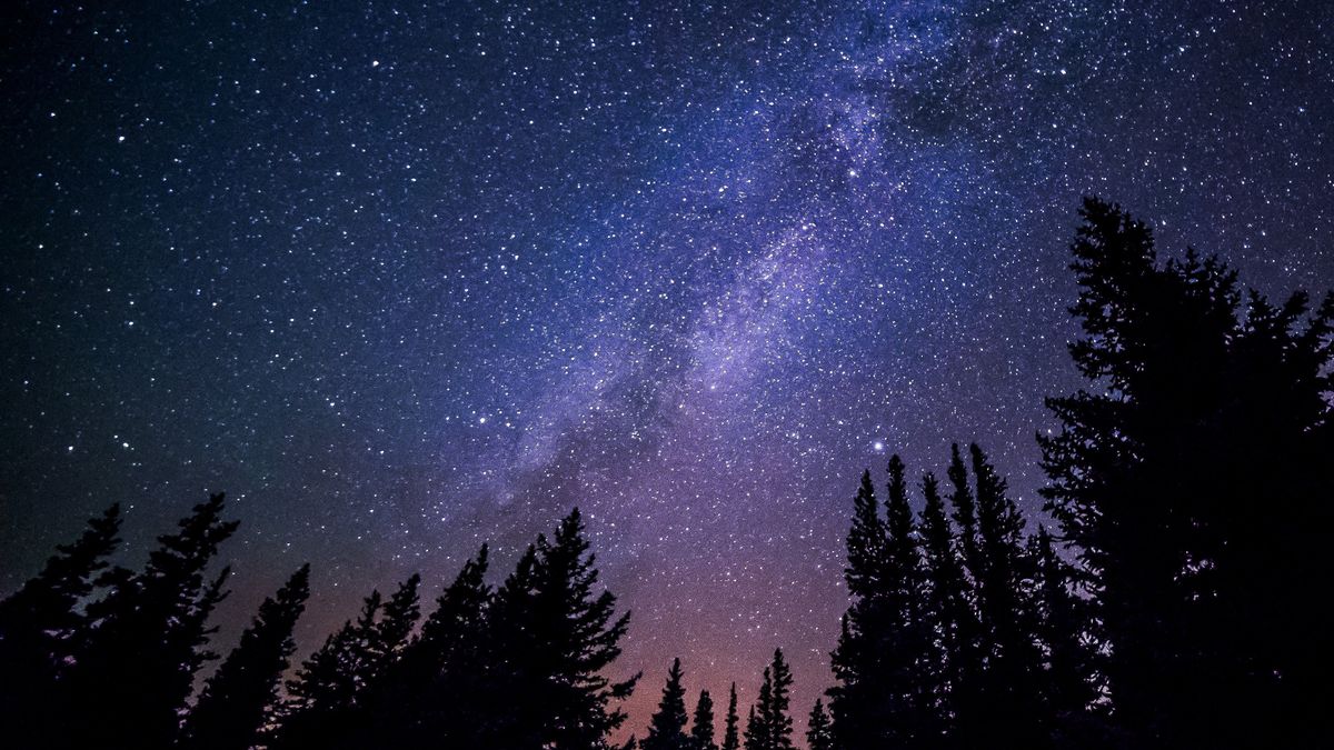 Zdjęcie ilustracyjne 