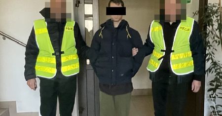 Pedofil w rękach policji. Namawiał przez Internet dzieci do czynności o charakterze niemoralnym
