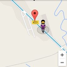 Google Disco Pegman