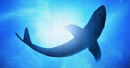 Wireshark 2.4 to kilkadziesiąt nowych protokołów i wiele innych zmian