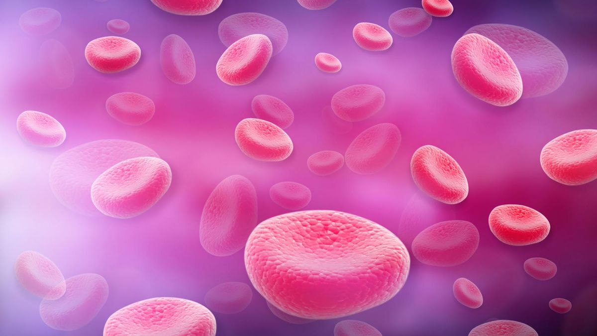 Nadpłytkowość to podwyższona liczba płytek krwi (trombocytów).