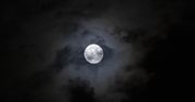 Kiedy pełnia w listopadzie? Mroźny Księżyc nadchodzi