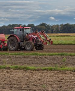 "Lepiej nie siać". Żyje w Anglii, oto na czym dzisiaj zarabia