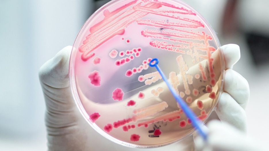 Bardzo ważną rolę w leczeniu sepsy odgrywa szybkie rozpoznanie choroby. Im wcześniejsza zostanie postawiona diagnoza, tym większa jest szansa na całkowity powrót pacjenta do zdrowia.