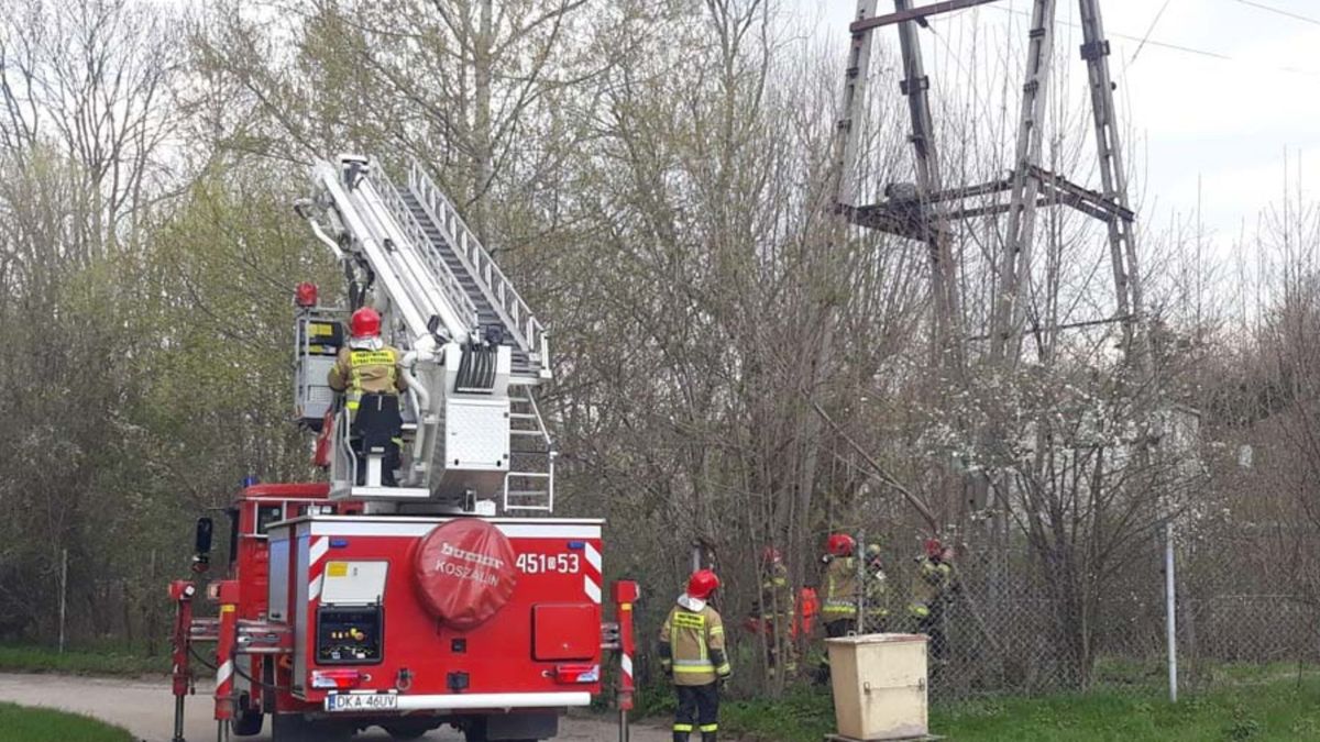 Niebezpieczna zabawa na Białołęce – nastolatkowie wspięli się na