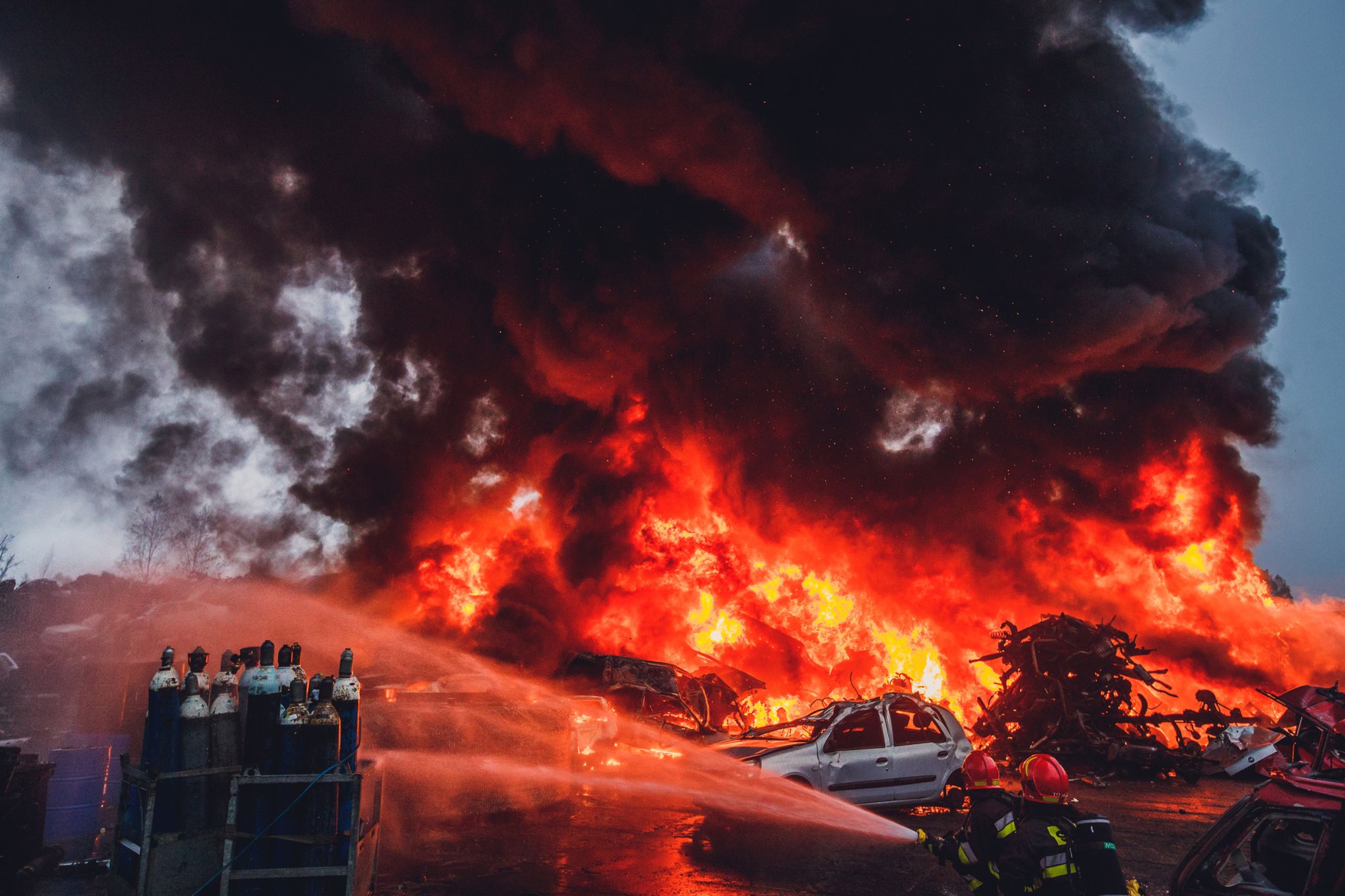 Grand Press Photo 2019: Poznaj zwycięzców kategorii 85