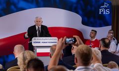 Kaczyński o Palikocie: Ohydny osobnik. Prezes PiS zaskakująco nazwał też Kosiniaka-Kamysza