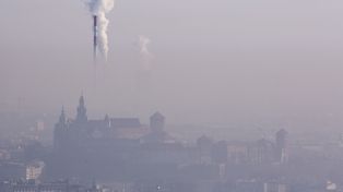 Wpływa na płuca i układ krwionośny. Mieszkańcy kilku województw szczególnie narażeni