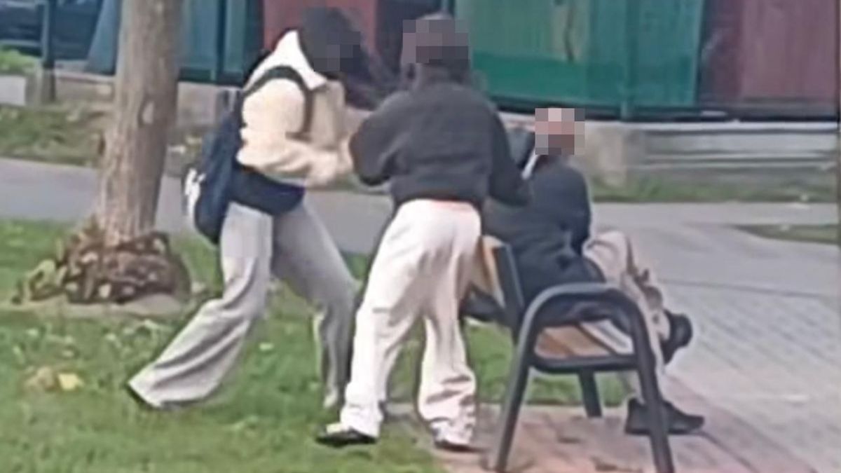 Zaatakowały mężczyznę. Sprawą zajmie się sąd.