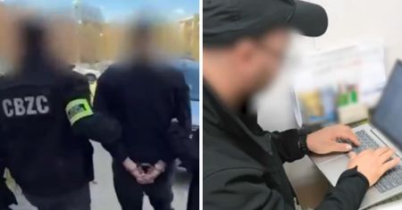 Masowe zatrzymania ws. pedofili. Kierwiński podał dane