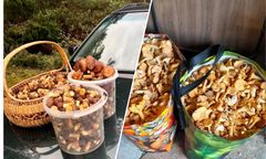 Na bazarach powariowali. Tak drogo nie było od lat