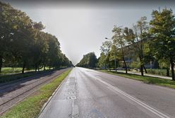 Częstochowa. Wielka wycinka przy alei Niepodległości. Mieszkańcy oburzeni