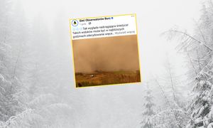 Pokazali zdjęcie z Podlasia. "Tak wygląda nadciągająca śnieżyca"