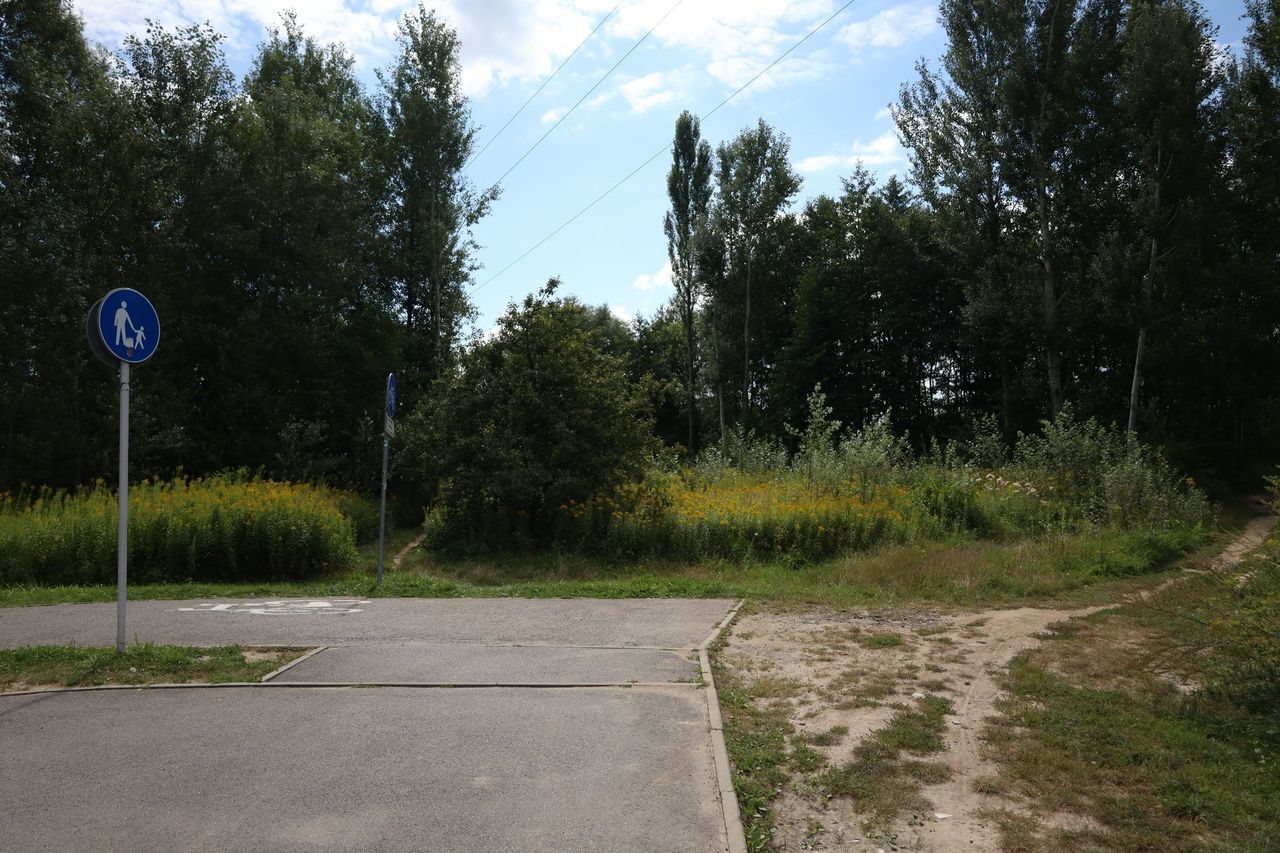 Rzeszów: Na Lisiej Górze powstanie nowy park za 7 milionów złotych