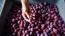 Te owoce to smak późnego lata. Wspierają metabolizm i serce, obniżają ryzyko raka