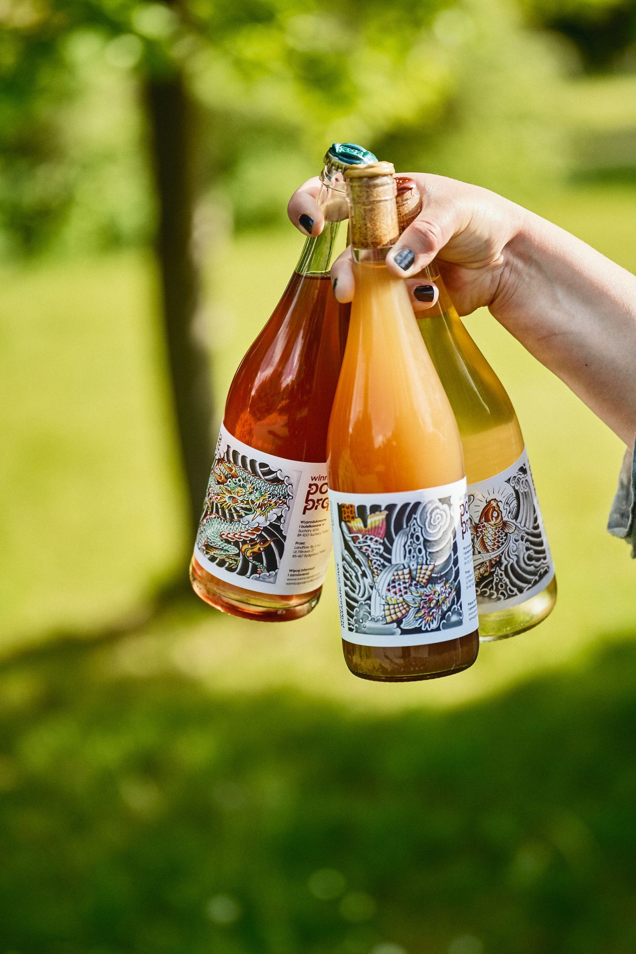 Wina z Winnicy Pod Prąd