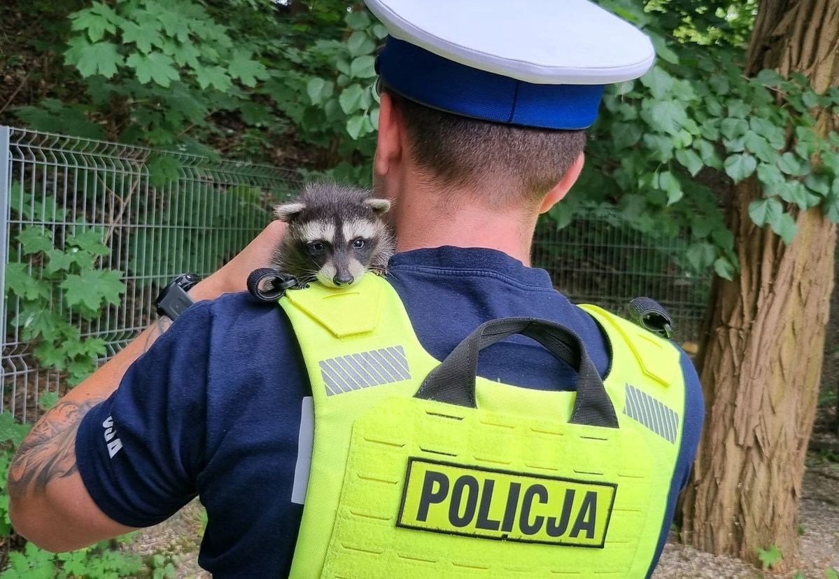 Maluch spadł z dachu. Momentalnie skradł serca policjantów