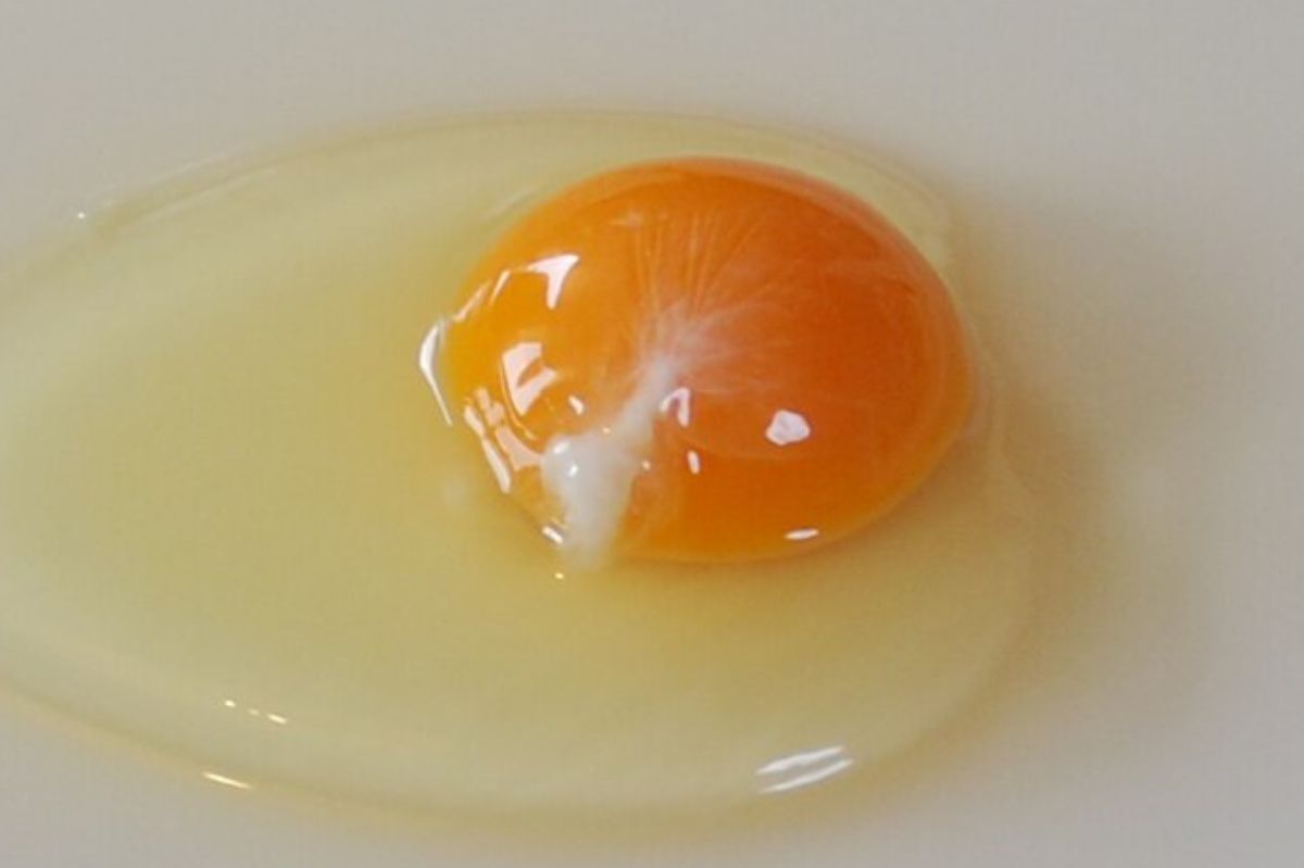 Surowe jajko ma "wstążkę" w środku? To może świadczyć tylko o jednym