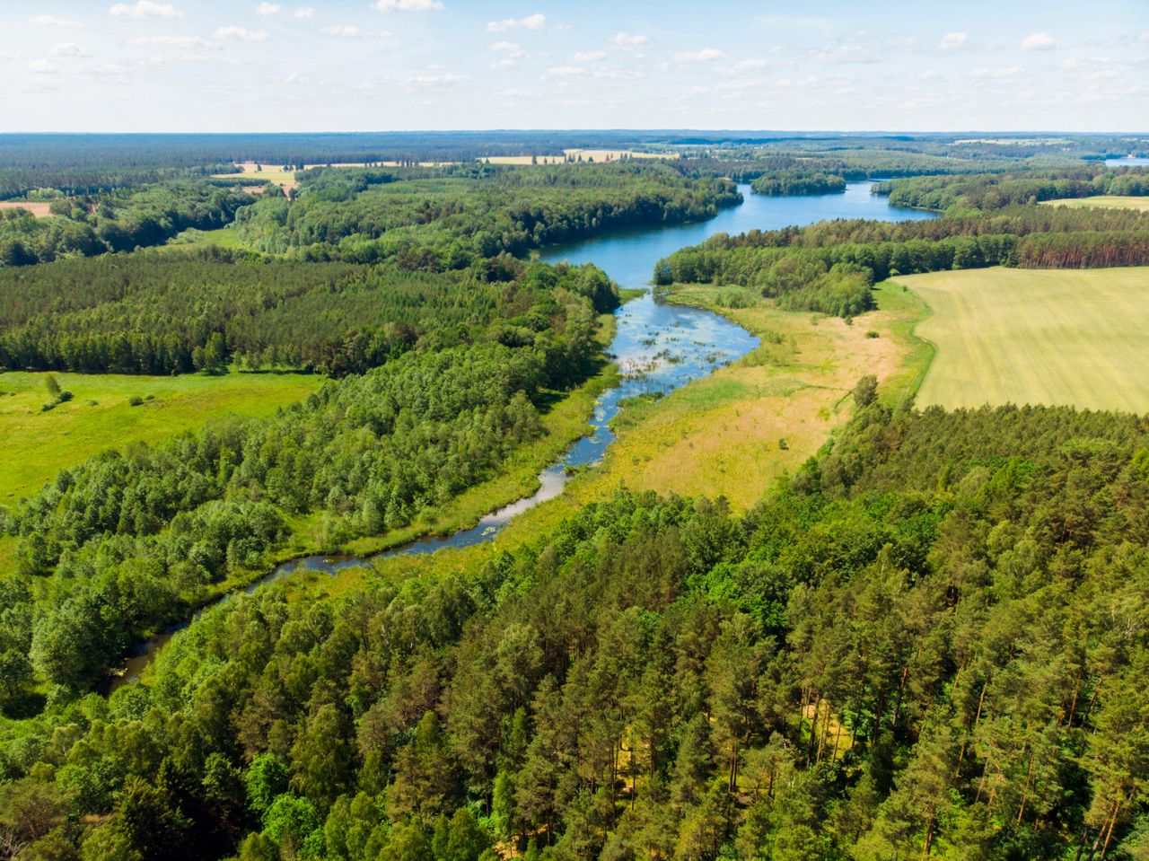 Tucholski Park Krajobrazowy. Te rezerwaty są rajem dla turystów