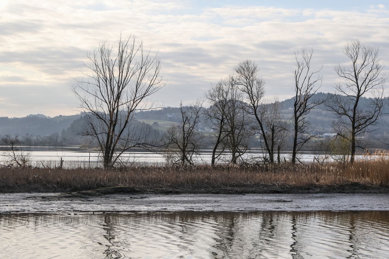 Dunajec. Wyłowiono ciało kobiety. Była poszukiwana (zdjęcie ilustracyjne)