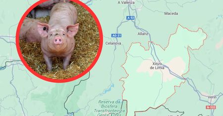 Trzody chlewne i fermy drobiu zanieczyszczają wody. Mieszkańcy Galicji idą z tym do sądu