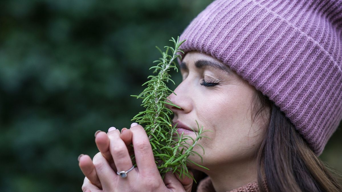 Czy ulica może pachnieć rozmarynem?