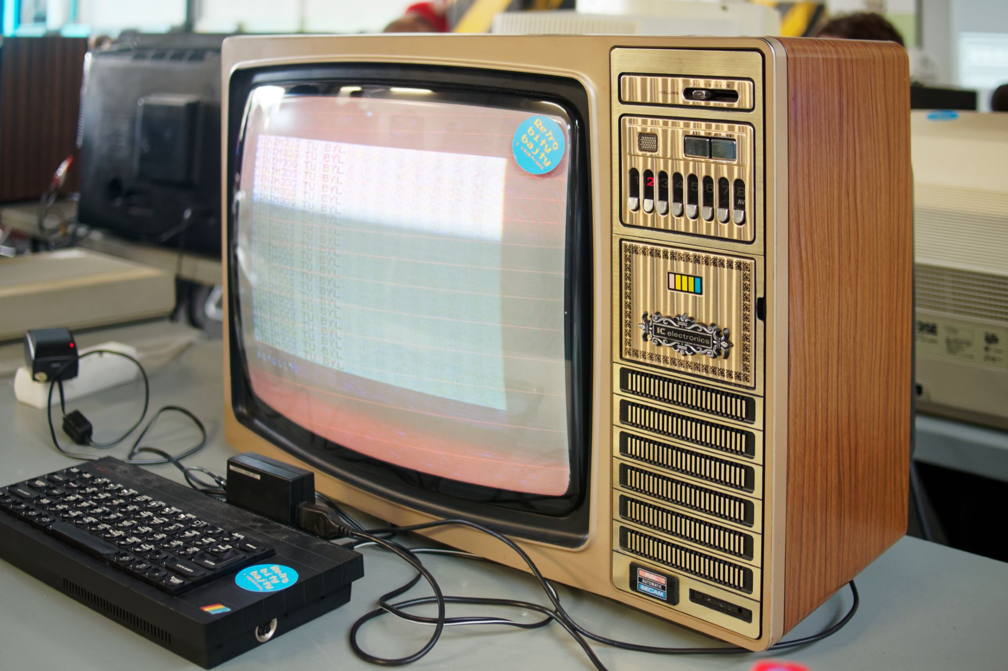 To najładniejszy i najbardziej kiczowaty telewizor, jaki ostatnio widziałam.