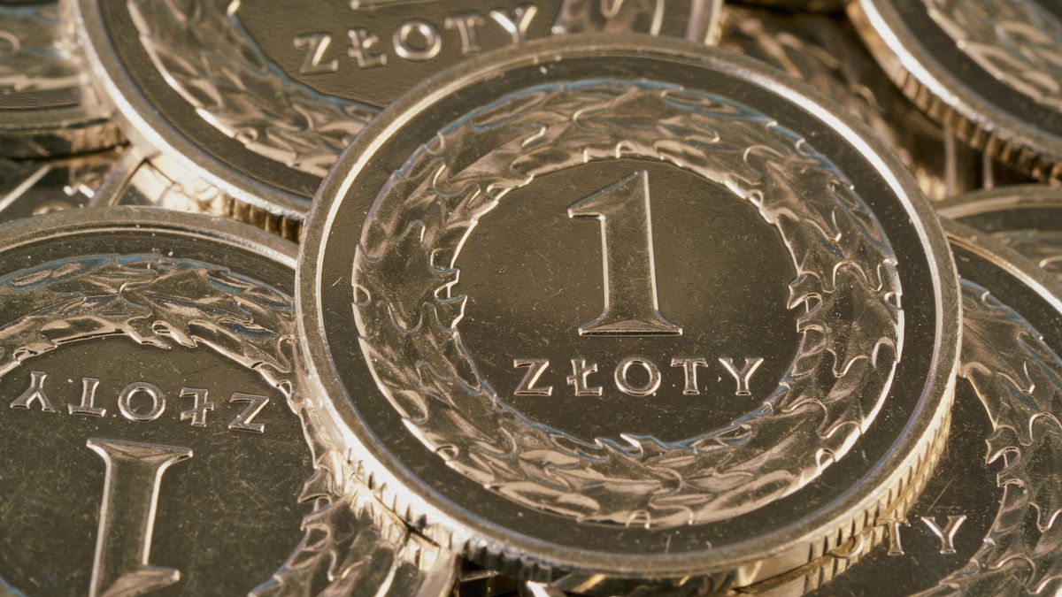 Złoty gwałtownie się osłabił po decyzji RPP.