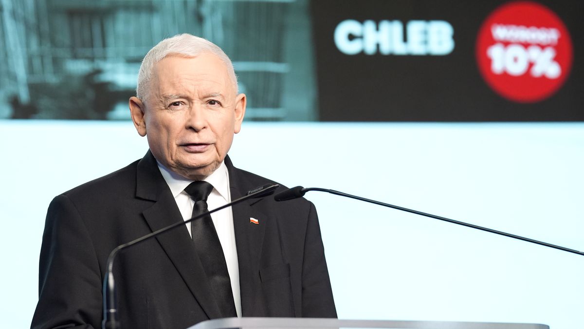 Jaroslaw Kaczynski the leader of the right-wing Law and Justice (PiS) party is speaking during the press conference in Warsaw, Poland on December 09, 2024. (Photo by Foto Olimpik/NurPhoto via Getty Images)