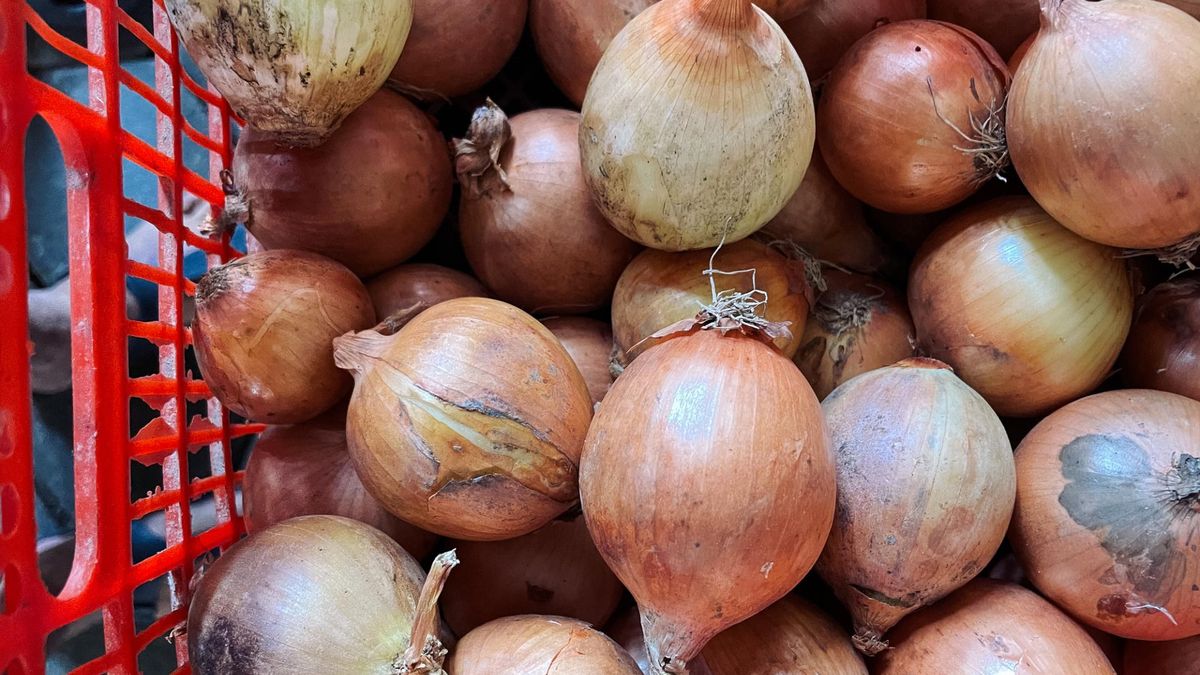 Właściwości cebuli