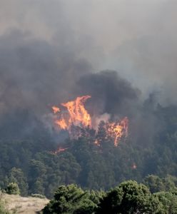 Piekło w greckim raju. Ogromny pożar na wyspie Rodos