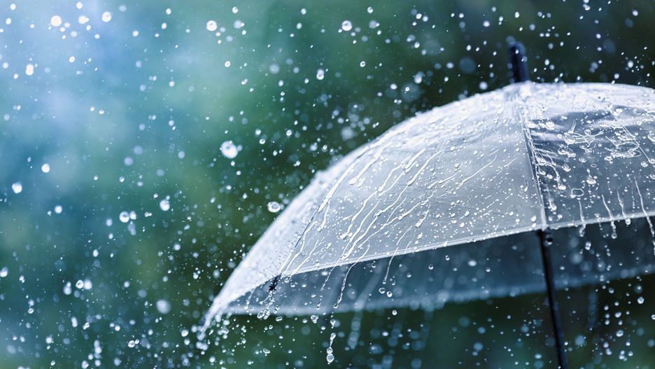 Transparent umbrella under rain against water drops splash background. Rainy weather concept.
Julia Sudnitskaya
rain, umbrella, weather, water, concept, droplet, drop, wallpaper, storm, autumn, meteorological, forecast, cold, falling, season, bokeh, outdoor, climate, thunderstorm, shield, protection, change, bad, depression, hidden, wet, pouring, summer, blue, environment, closeup, nature, background, rainy, heavy, downpour, rainstorm, overcast, rainfall, shower, green
