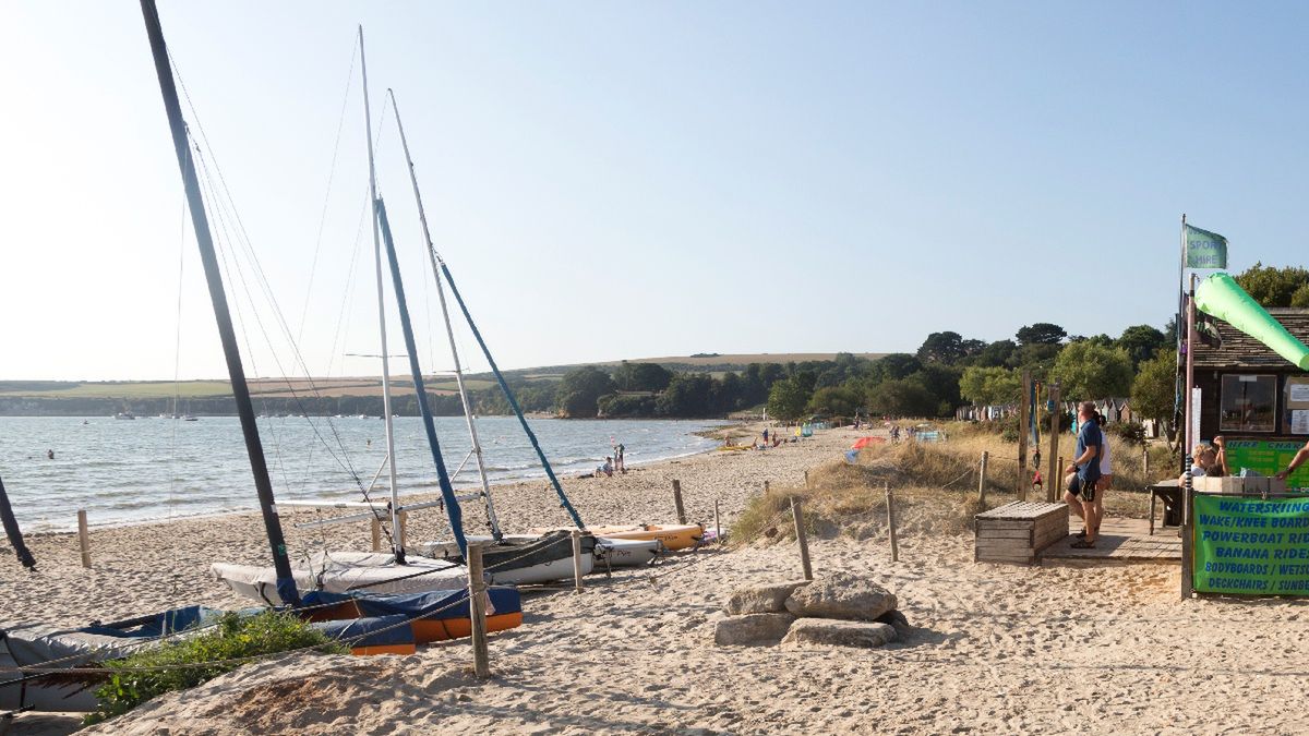 Na plaży w Anglii odkryto małże