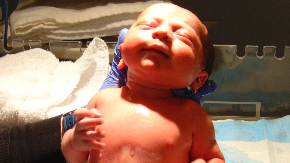 Zdjęcie ilustracyjne.