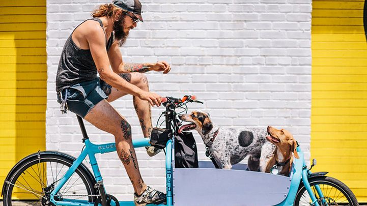 Nowojorscy rowerzyści, czyli uliczny projekt Sama Polcera 1