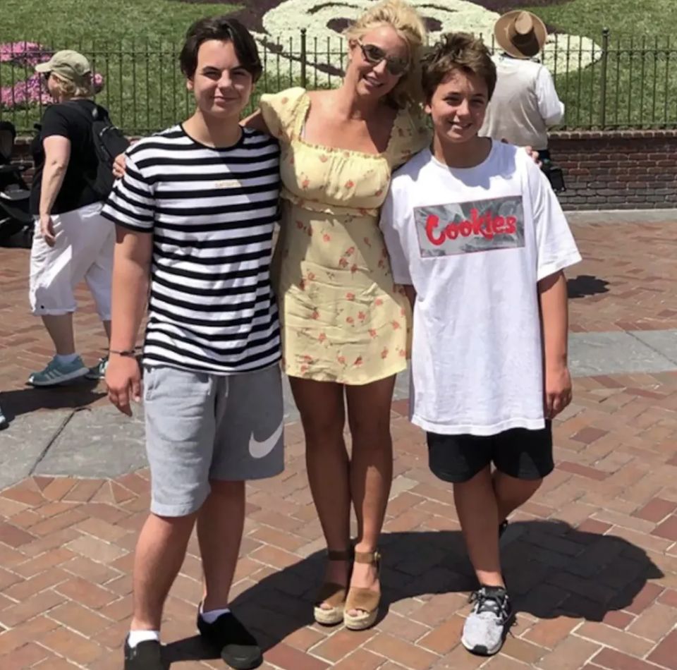 Britney Spears z synami