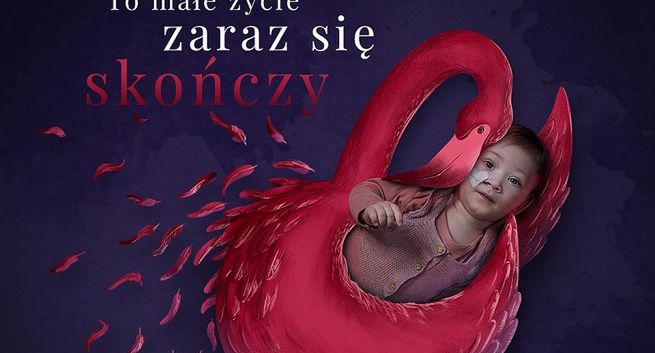 Linkleaders pro bono dla Fundacji Gajusz z kampanią 1,5 proc.