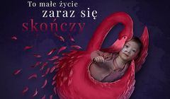 Linkleaders pro bono dla Fundacji Gajusz z kampanią 1,5 proc.