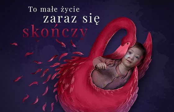 Linkleaders pro bono dla Fundacji Gajusz z kampanią 1,5 proc.