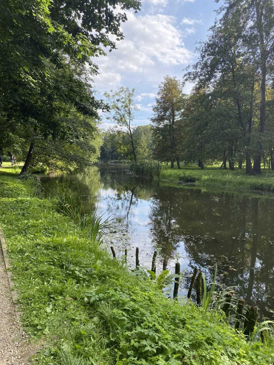 Widok na zbiornik wodny w parku w Arkadii