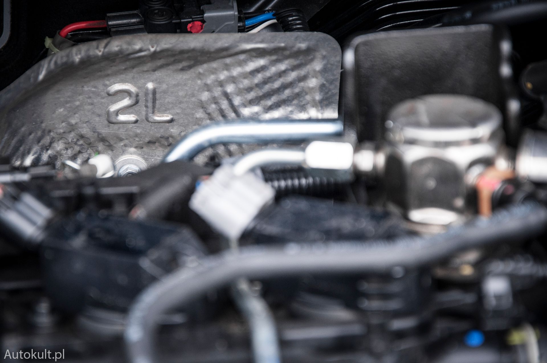 Zdjęcie ilustracyjne do artykułu