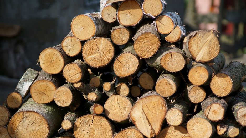 Ile kosztuje drewno w 2025 r.? Stawki tuż przed sezonem zimowym