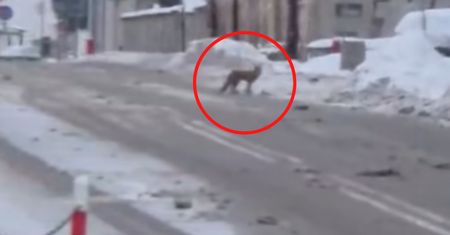Była 7:50. I nagle taki widok w Białymstoku. "Uwaga"