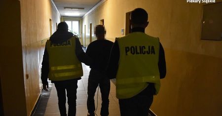 Usłyszał zarzut zabicia matki. Jest areszt