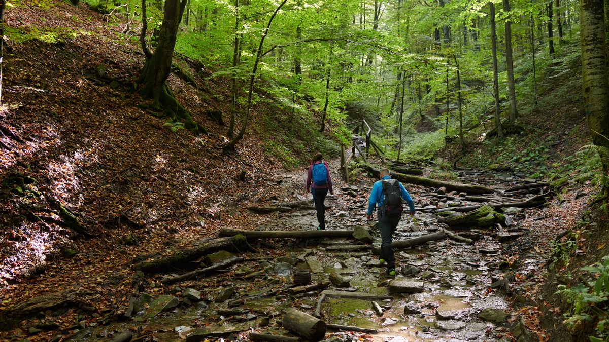 Turyści muszą pamiętać, jak się zachowywać w lasach 
