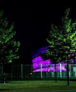 Światowy Dzień Raka Trzustki. Stadion Wrocław na fioletowo. Choroby nie można bagatelizować