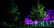 Światowy Dzień Raka Trzustki. Stadion Wrocław na fioletowo. Choroby nie można bagatelizować
