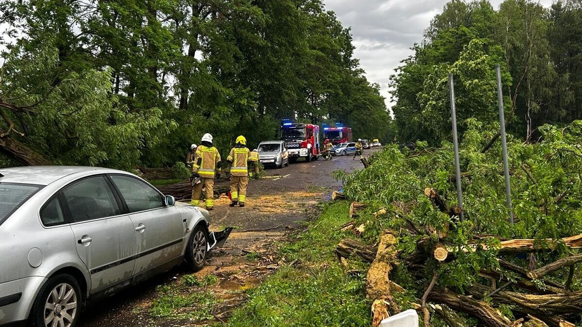 Drzewo przewróciło się na jadący samochód